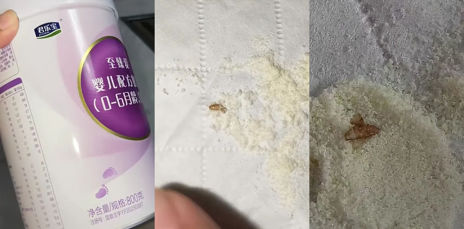 君乐宝奶粉吃出虫子，调换后又发现虫卵，涉事门店：有事找厂家