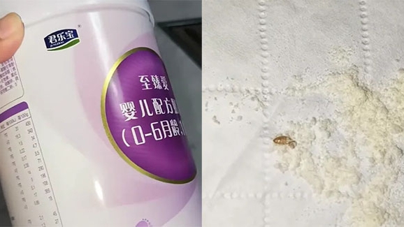 君乐宝奶粉吃出虫子，调换后又发现虫卵，涉事门店：有事找厂家