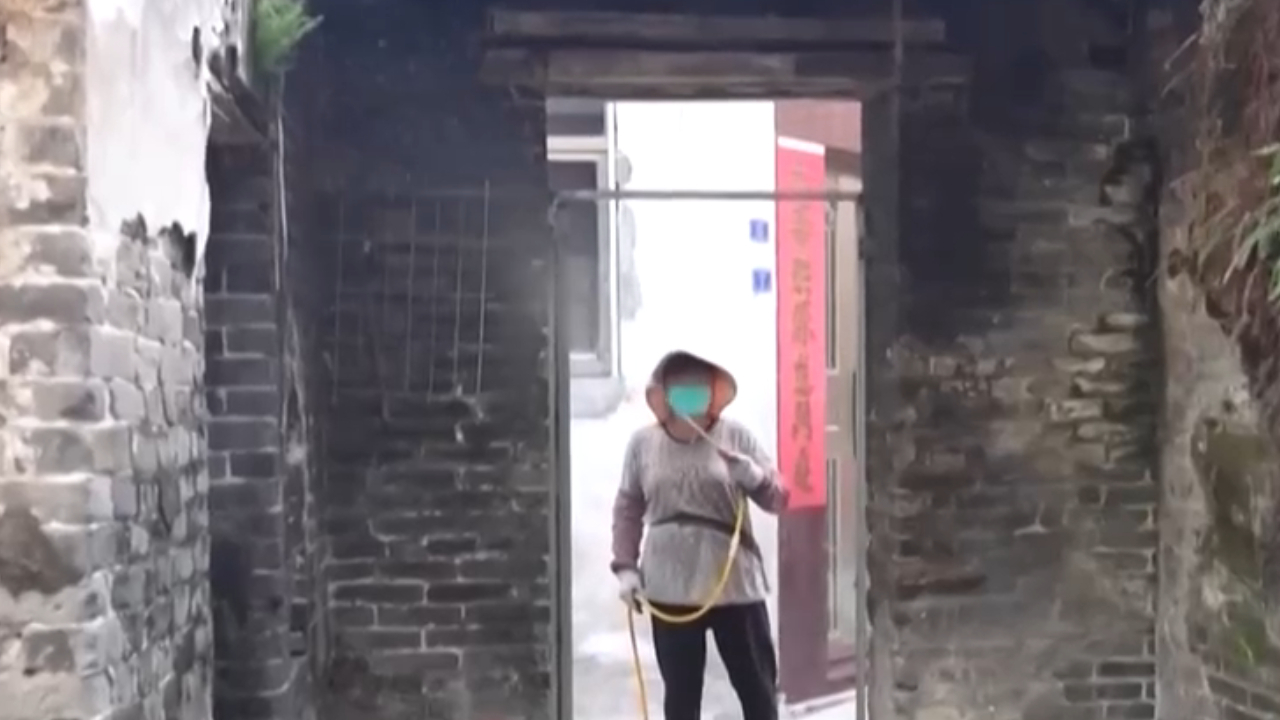 广东江门市基孔肯雅热疫情快速上升势头已得到初步遏制