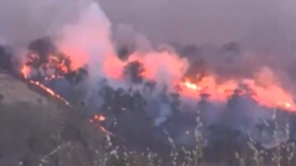 美国加州北部山火导致数千人疏散