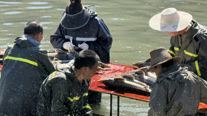 重庆开州：“归雁经济”催生乡村振兴新动能