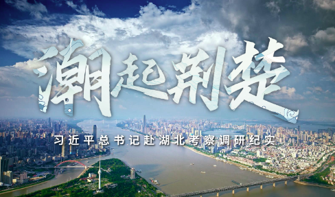 微信图片_20241107120924_20241107120932A681.png