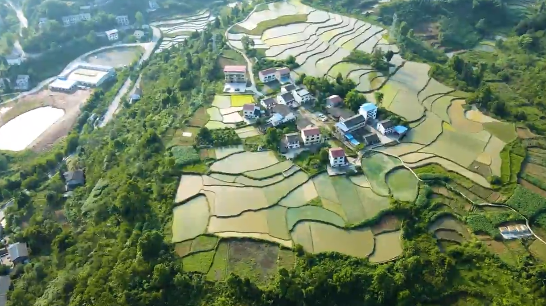 微信图片_20250106133720_20250106133728A447.png