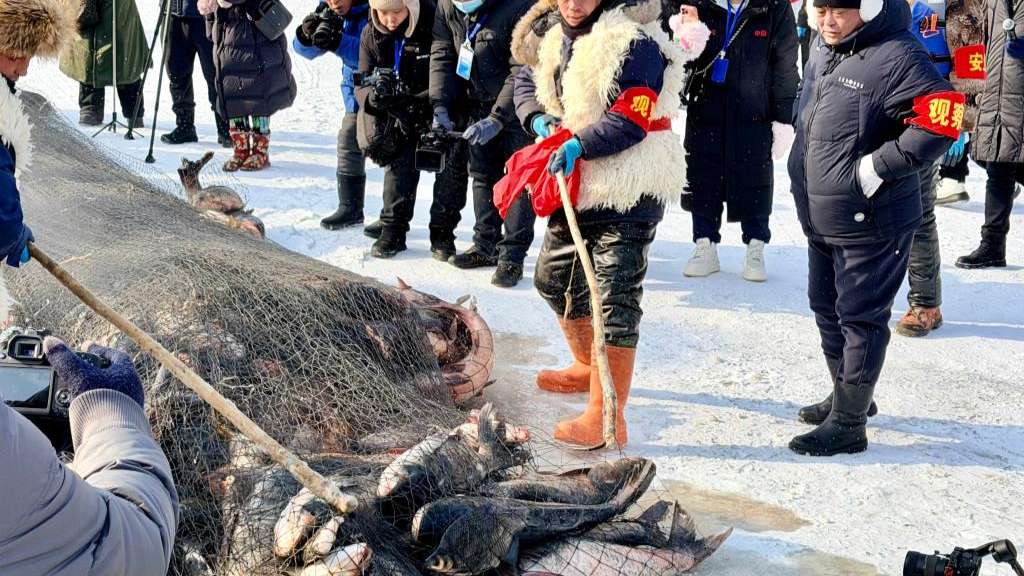 镜泊湖冬捕：一网开冰湖，沸了丰年