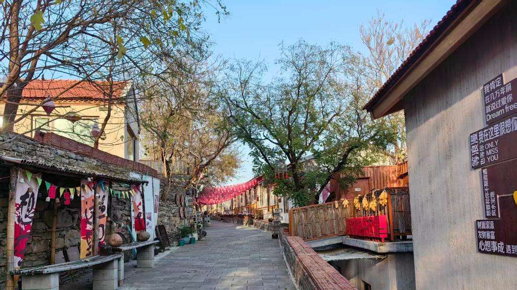 一盘棋 一条心——山东青州墨龙谷连片振兴见闻