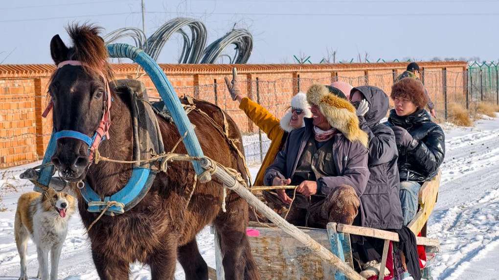 雪域同心·青春融情——记台青冬令营新疆之旅