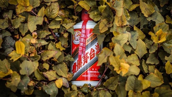 贵州茅台上市以来首次营收净利双下滑，涨价或是一剂“强心针”