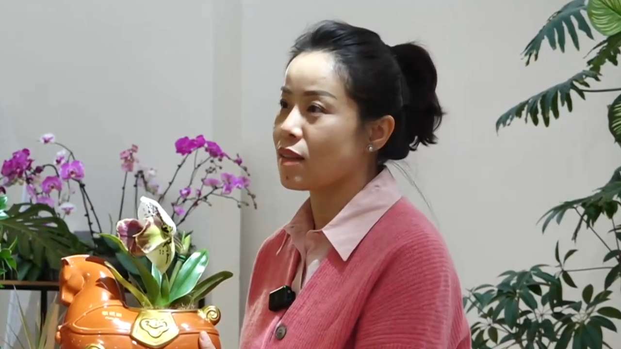 以“马”为媒新意浓 北京年宵花购销两旺