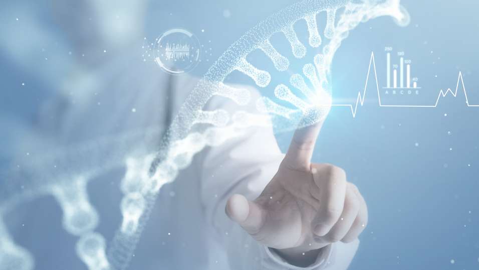 诺和诺德股价跌回2021年水平 分析师谨慎看好估值修复