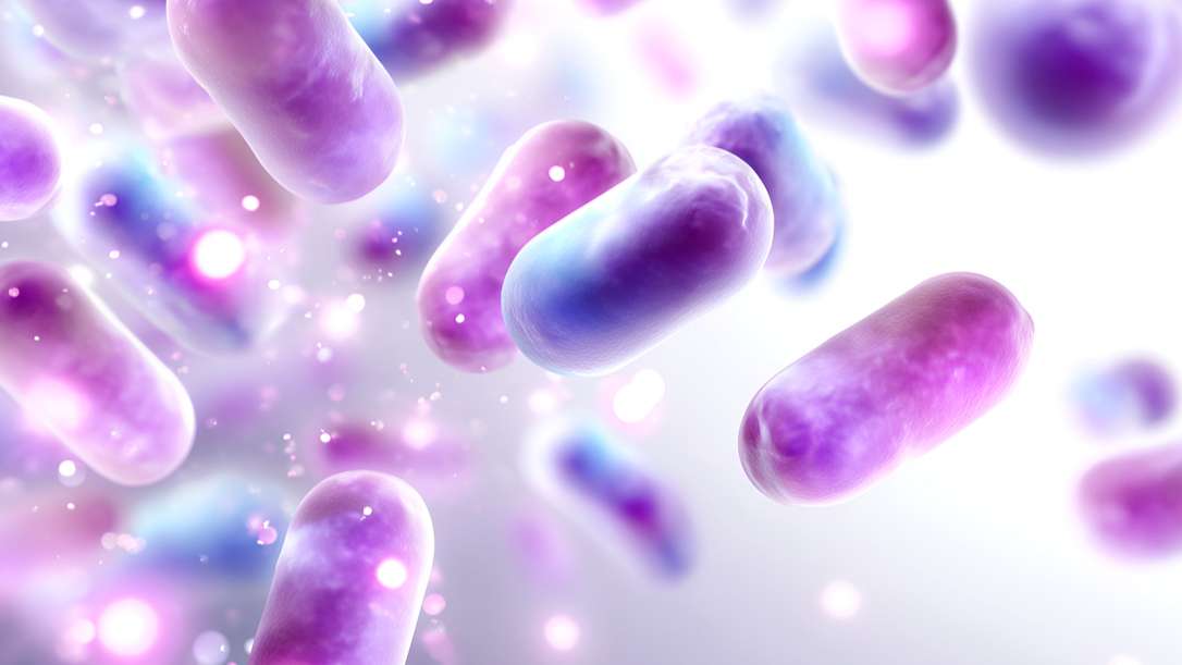 营养补剂龙头冲刺A+H！仙乐健康毛利率超48%，软糖业务收入年增三成