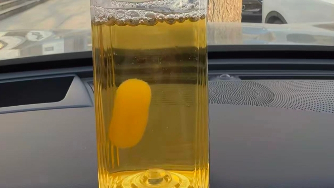 用东方树叶培育“茶菌宠物”？农夫山泉回应：不建议继续饮用