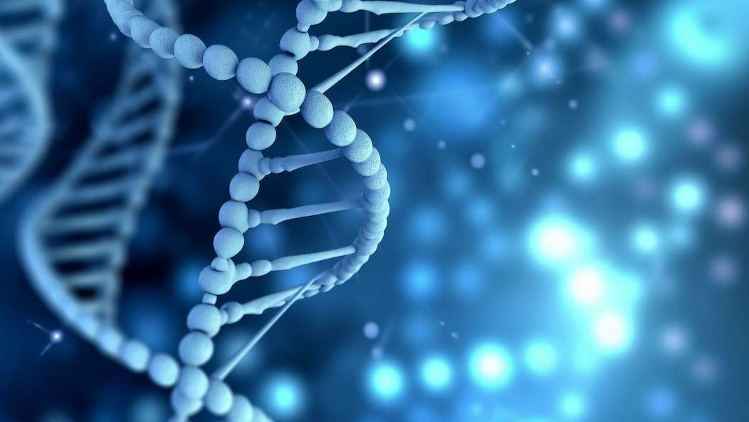 创新管线构筑可持续增长引擎 2025年诺华业绩同比增长8%