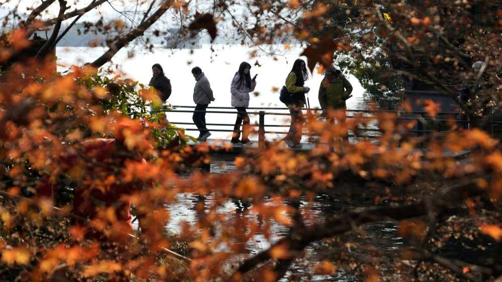 “三九”游西湖