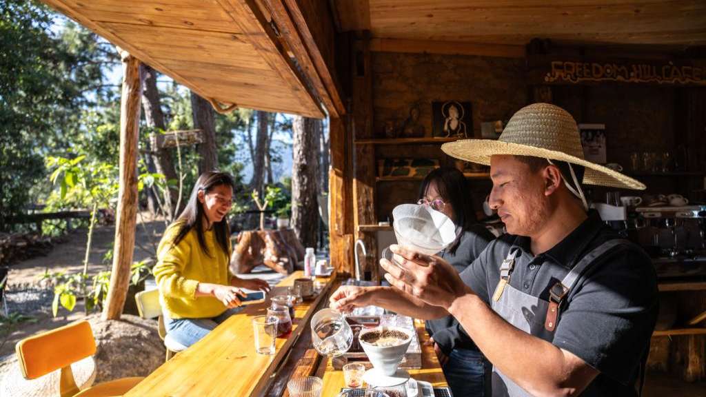 一杯云南咖啡里的绿色发展之路