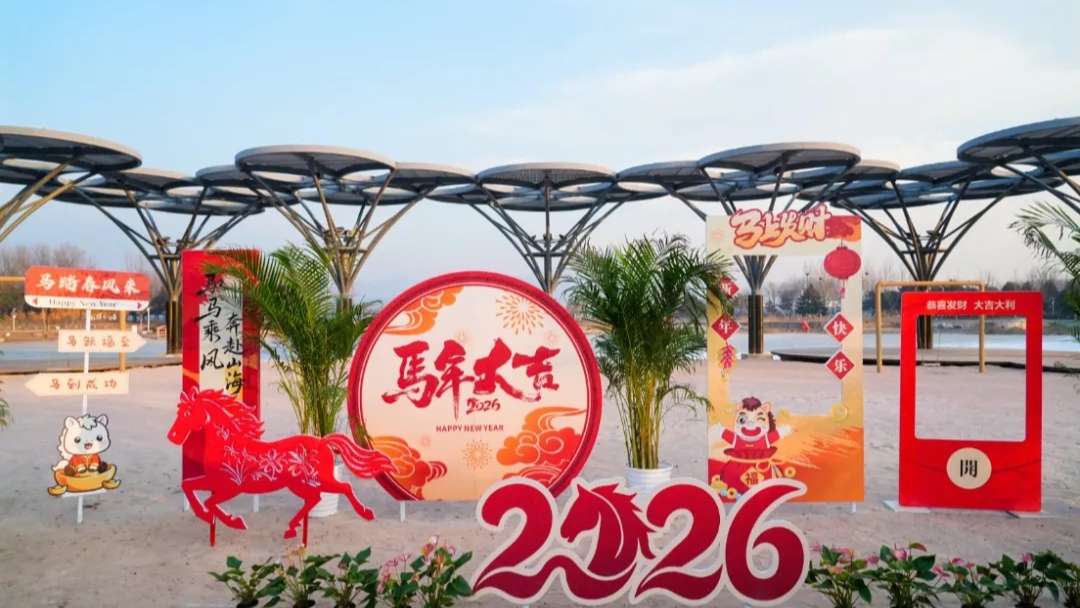 火爆出圈！超6万人打卡的北京兰花文化嘉年华，一文解锁浪漫游玩秘籍