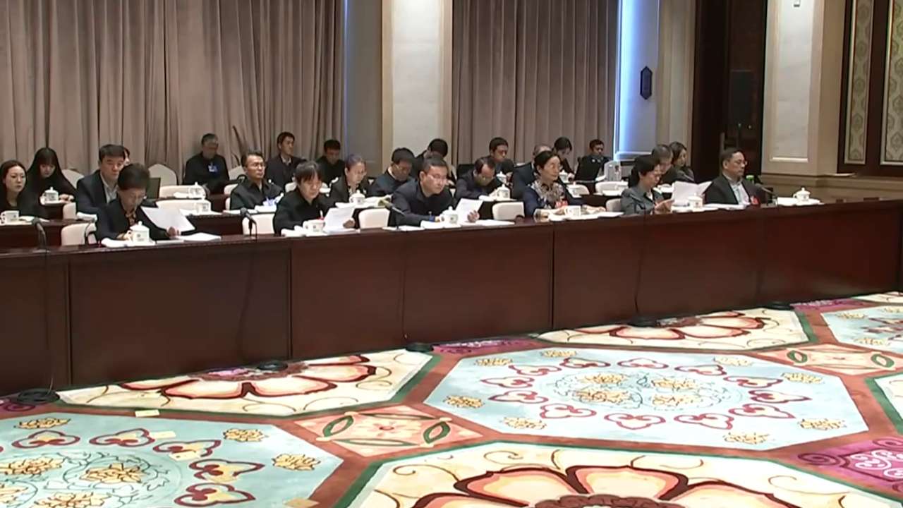 市委副书记、市长殷勇代表，市人大常委会主任李秀领代表参加。代表小组会议审议了关于政府工作报告、“十五五”规划纲要、年度计划、年度预算的四个决议草案。