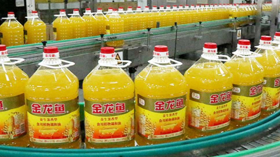 金龙鱼一工厂发生触电事故致1人死亡，四层外包管理链条形同虚设？