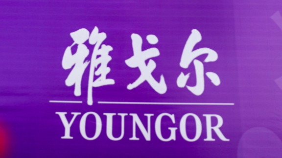 营收净利双双下滑，女承父业下的雅戈尔守业更要“换血”