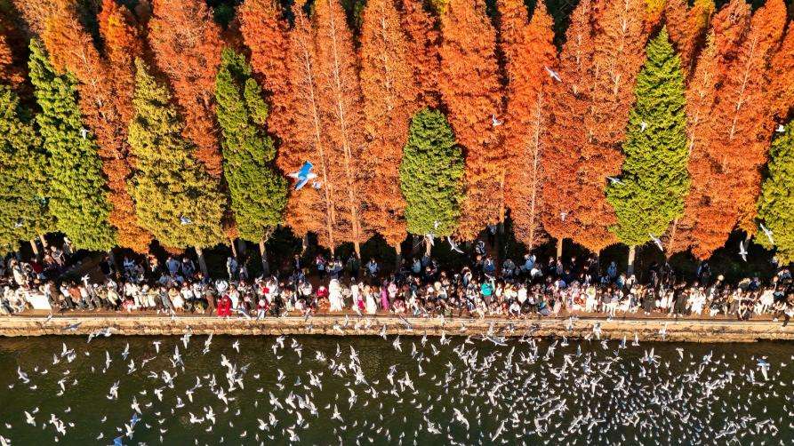 滇池：美景如画引客来