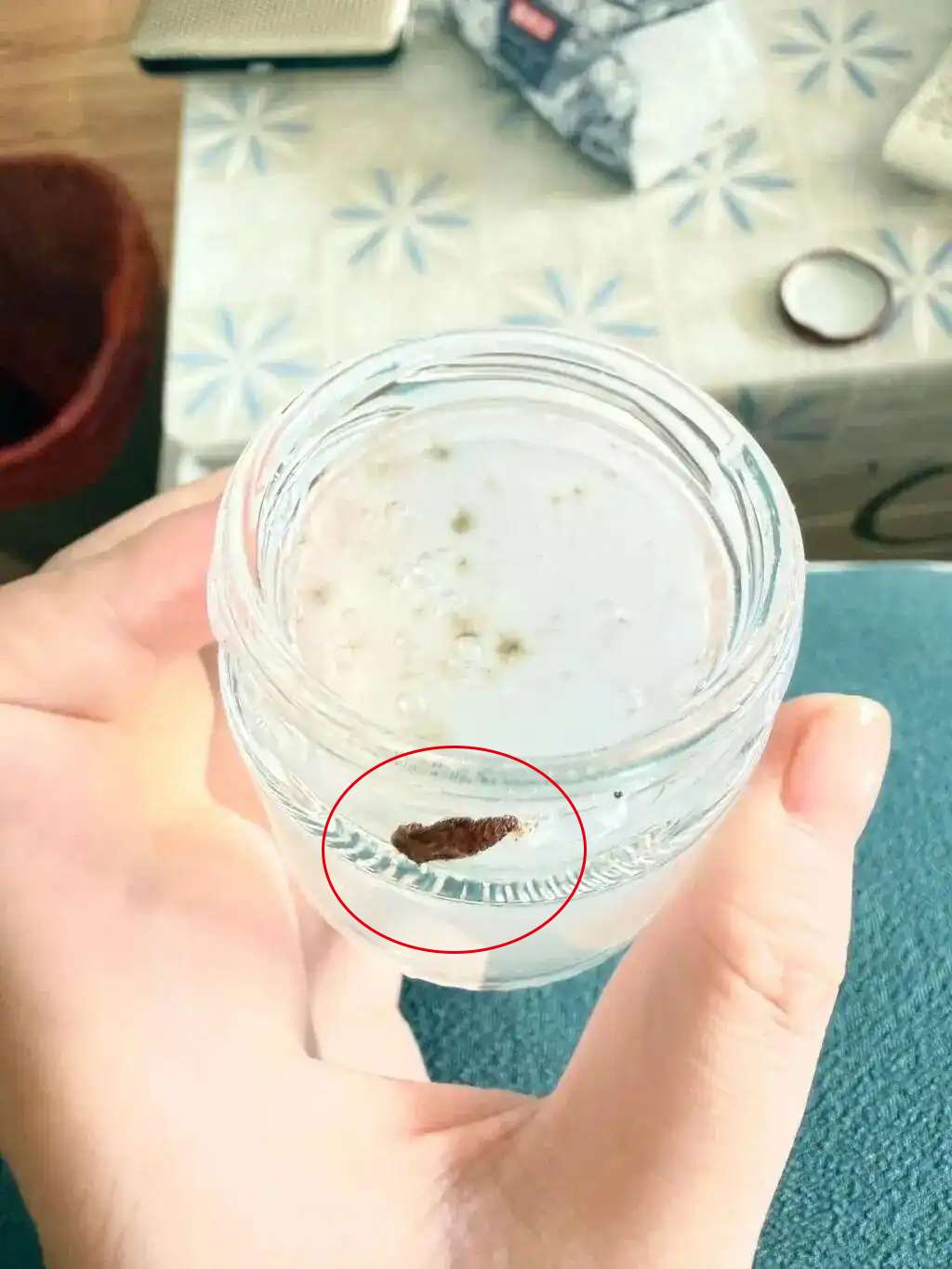 孕妇称喝小仙炖燕窝发现虫蛹，商家猜测与客户存放条件有关