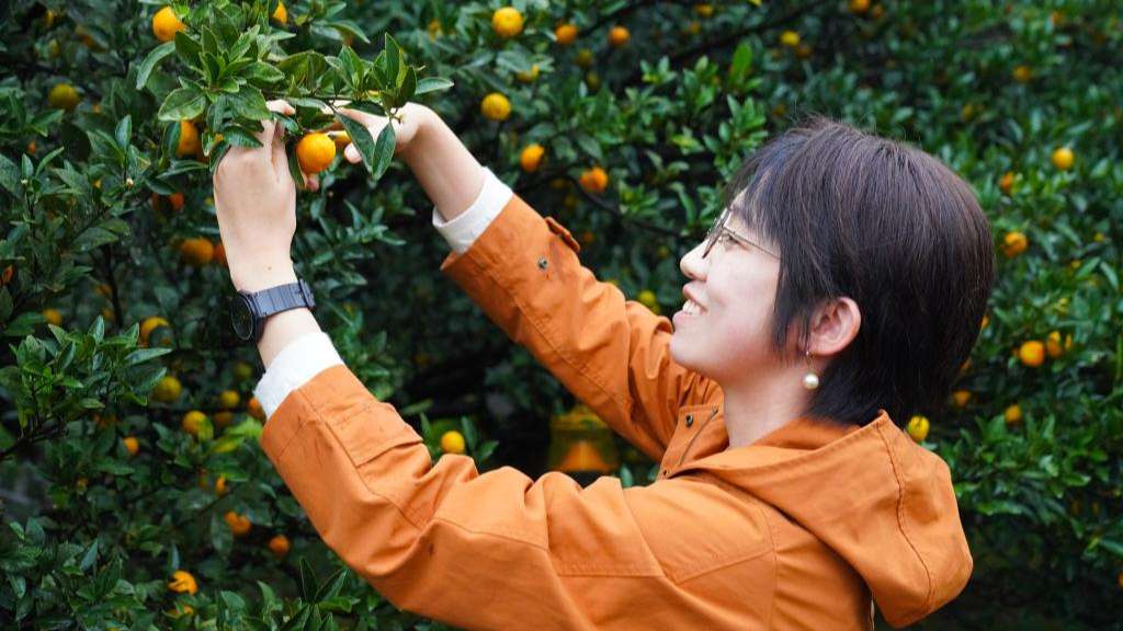 新华鲜报丨五连增！地理标志“金名片”培育近万亿元“大产业”