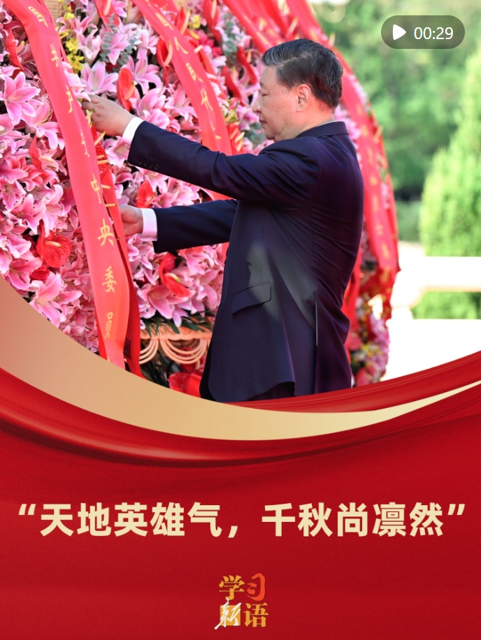 e79acb10-408a-4222-a775-2d1de1e7e027.jpg