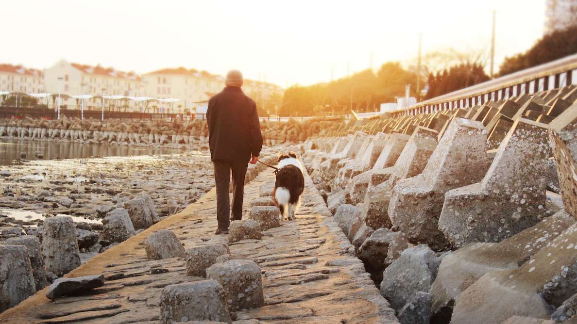 养生骗局，被嘲笑的不该是老人