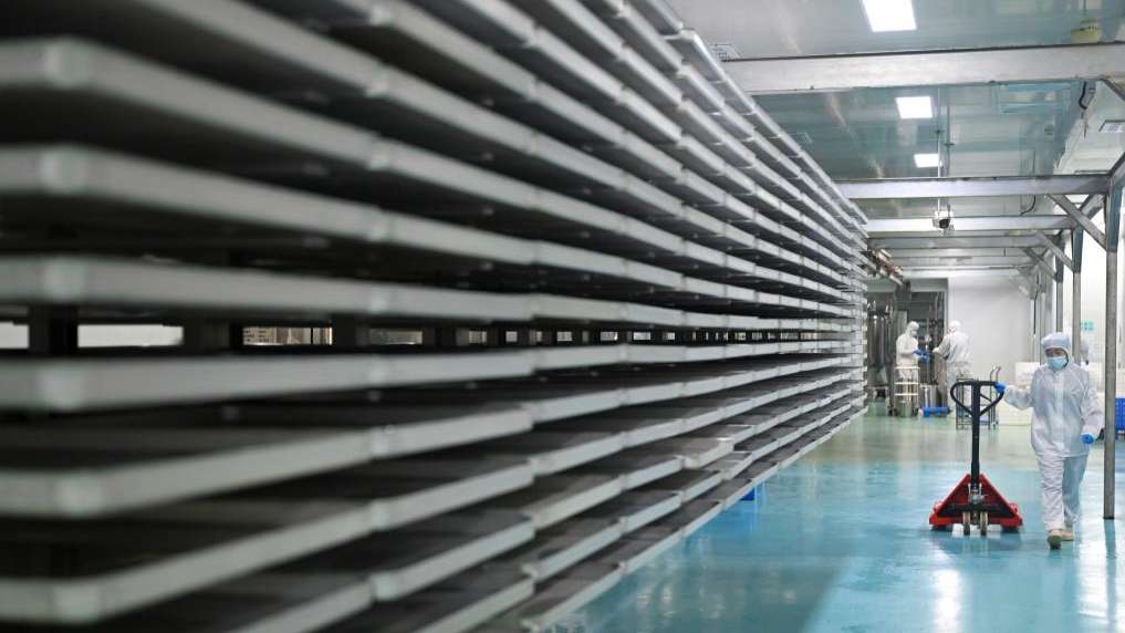 黄河岸边飘来非洲咖啡香